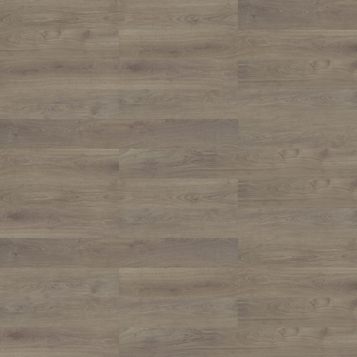 Shaw Contract - Branching Out 5mm - 6 in. x 48 in. Luxury Vinyl - Pinecone Oak