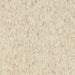 Armstrong Commercial - Standard Excelon Imperial Texture - Vinyl Composition Tile (VCT) - Sandrift White