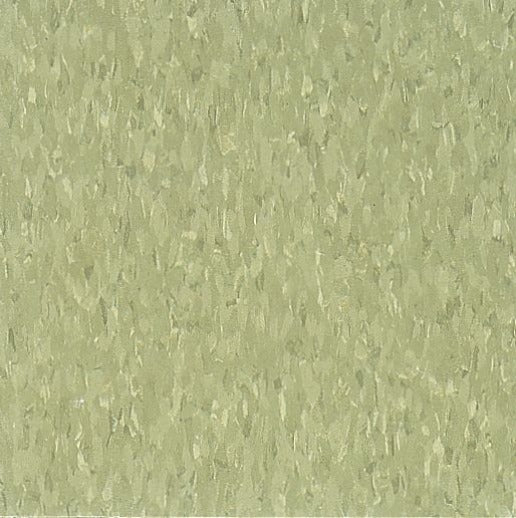 Armstrong Commercial - Standard Excelon Imperial Texture - Vinyl Composition Tile (VCT) - Little Green Apple