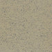 Armstrong Commercial - Premium Excelon Stonetex - Vinyl Composition Tile - Forest Moss