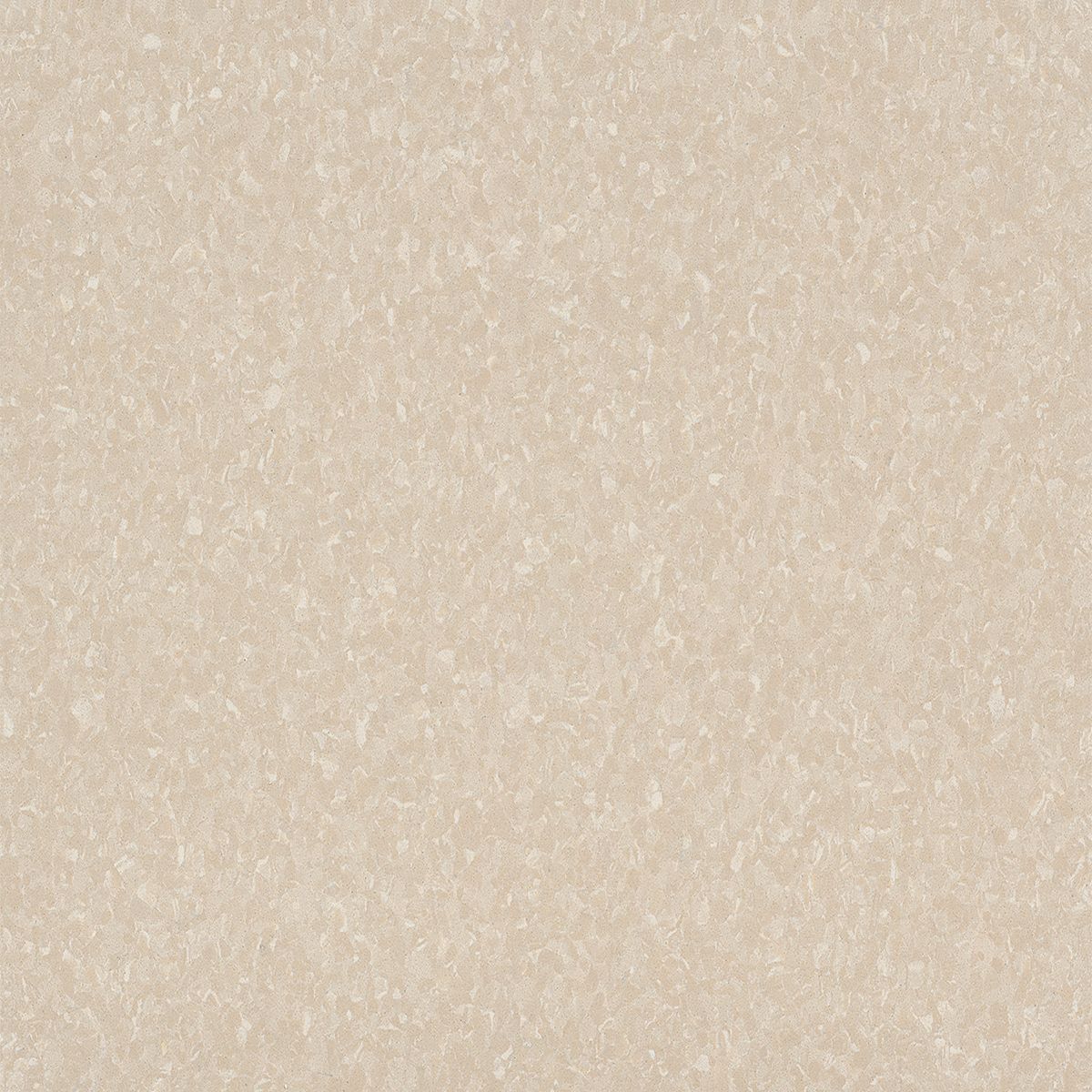 Armstrong Commercial - Premium Excelon Crown Texture - Vinyl Composition Tile - Antique White