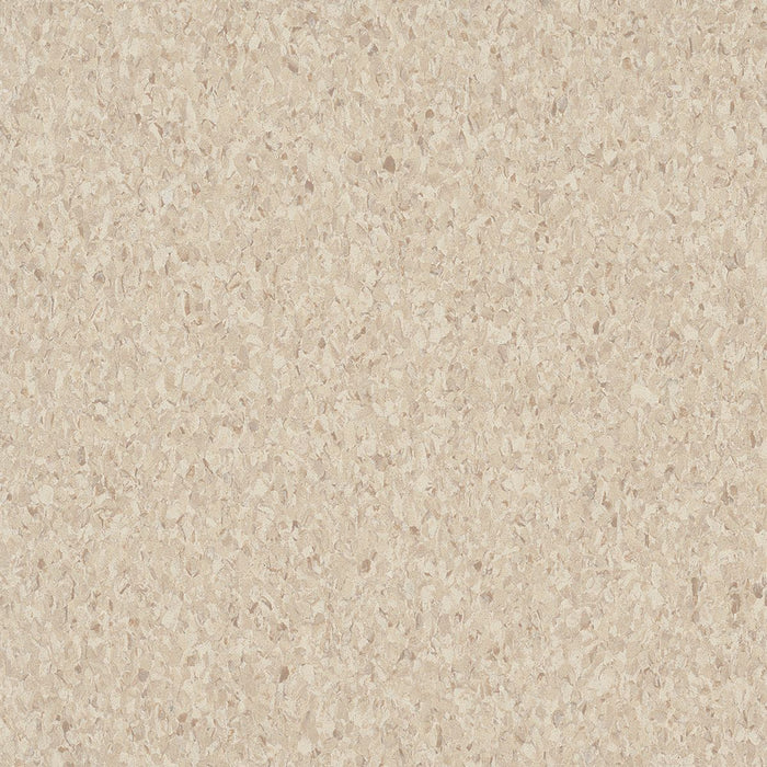 Armstrong Commercial - Premium Excelon Crown Texture - Vinyl Composition Tile - Sandrift White