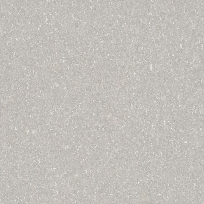 Armstrong Commercial - Premium Excelon Crown Texture - Vinyl Composition Tile - Soft Warm Gray