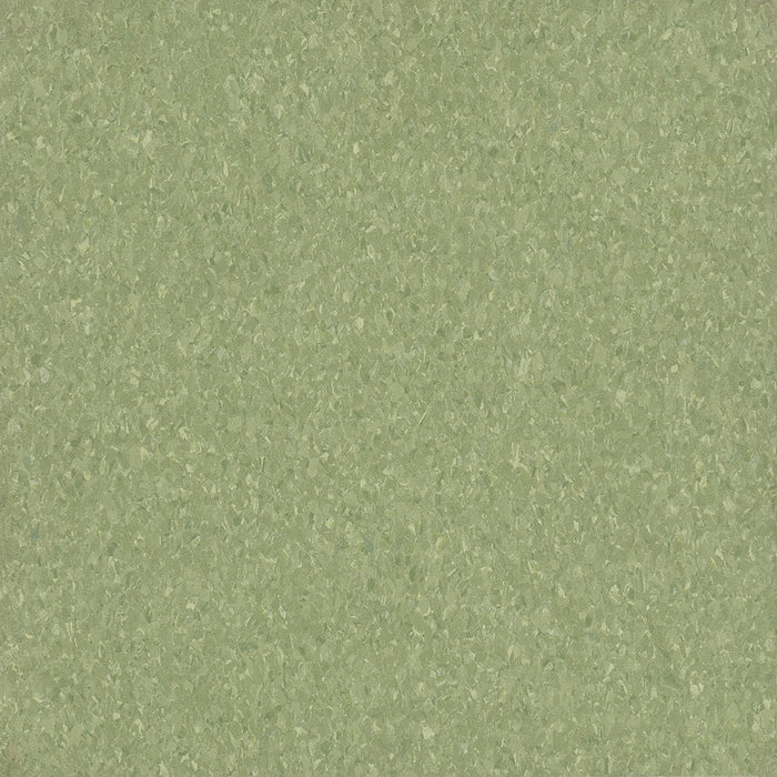 Armstrong Commercial - Premium Excelon Crown Texture - Vinyl Composition Tile - Little Green Apple