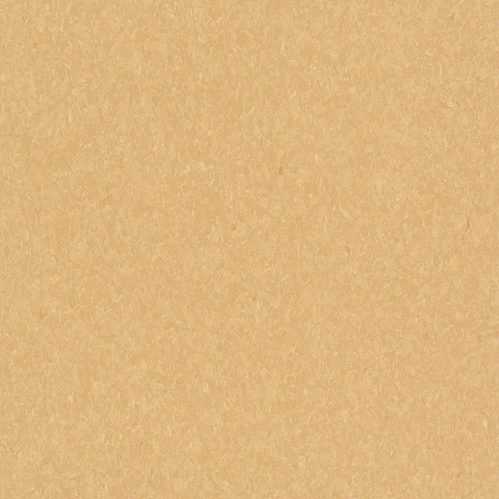 Armstrong Commercial - Premium Excelon Crown Texture - Vinyl Composition Tile - Golden