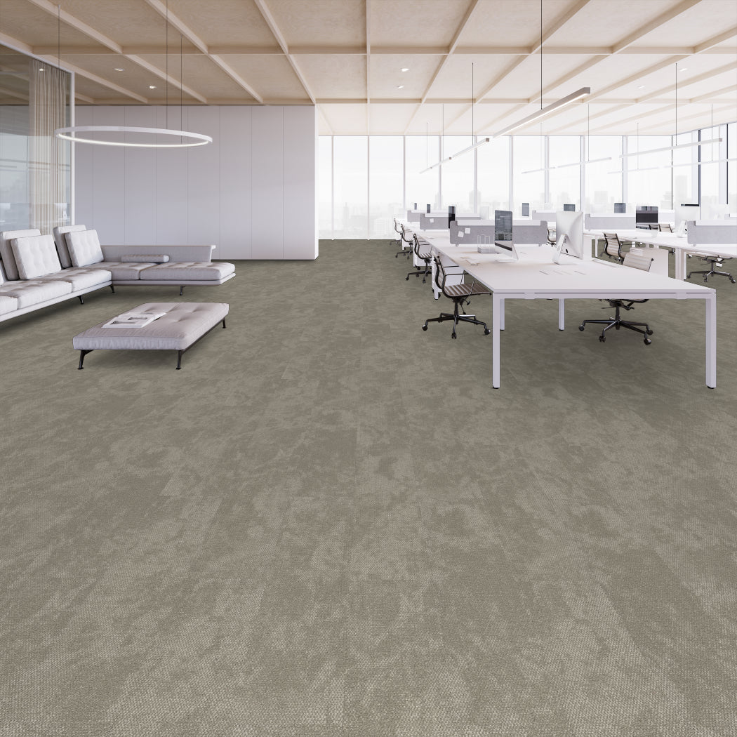 Shaw Contract - Basalt II - A Walk In The Garden - Carpet Tile - Branch Office Install