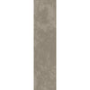 See Shaw Contract - Basalt II - A Walk In The Garden - Commercial Carpet Tile - Branch
