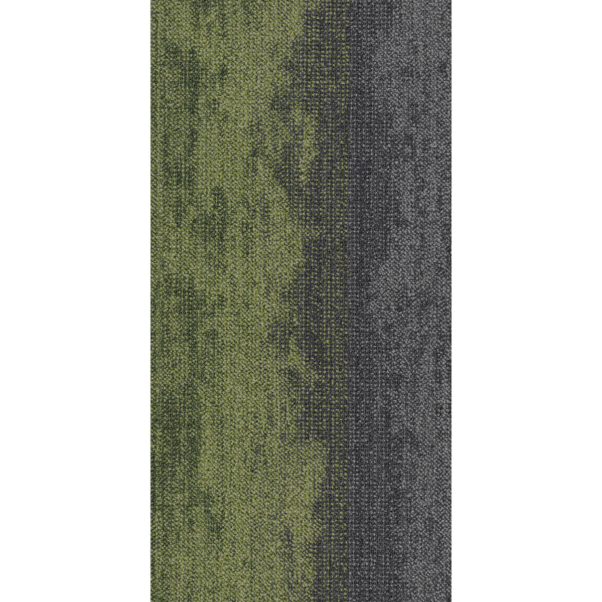 Shaw Contract - Local Landscapes - Migrate Tile - 18 in. x 36 in. - Commercial Carpet Tile - Mountain Moss