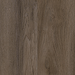 Aladdin Commercial - Familiar Frontier II - 6 in. x 48 in. Luxury Vinyl - Truffle