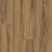 Aladdin Commercial - Forest Lawn 5.0 - Luxury Vinyl - Caramel