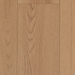 Aladdin Commercial - Bentwood 2.5 - Luxury Vinyl - Benton