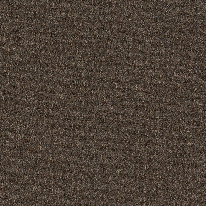 EF Contract - Diversified - 24 in. x 24 in. - Commercial Carpet Tile - Bizarre