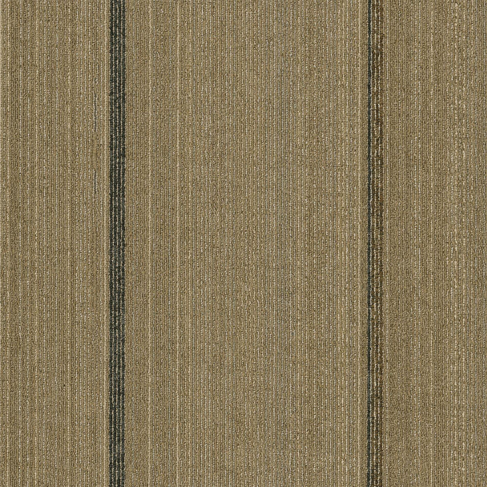 EF Contract - Revival - 24 in. x 24 in. - Commercial Carpet Tile - Renewal