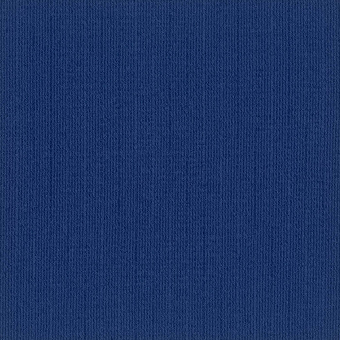 EF Contract - Colorburst - 24 in. x 24 in. - Commercial Carpet Tile - Indigo