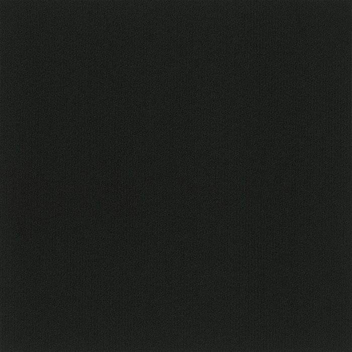 EF Contract - Colorburst - 24 in. x 24 in. - Commercial Carpet Tile - Midnight