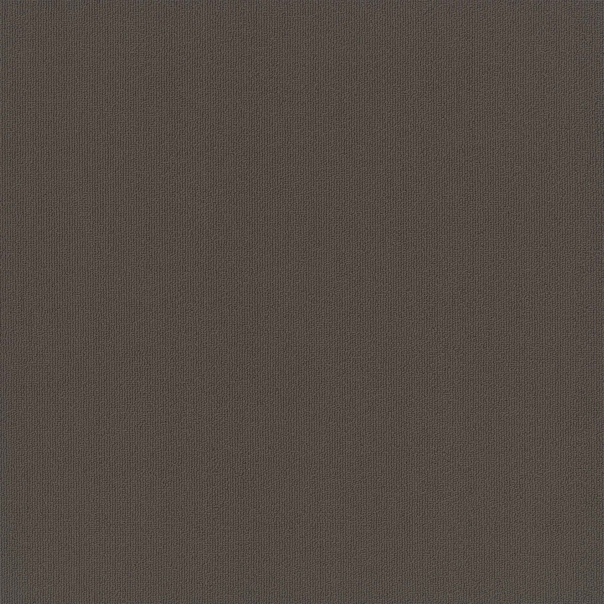 EF Contract - Colorburst - 24 in. x 24 in. - Commercial Carpet Tile ...