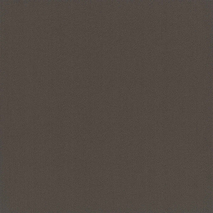 EF Contract - Colorburst - 24 in. x 24 in. - Commercial Carpet Tile - Carob