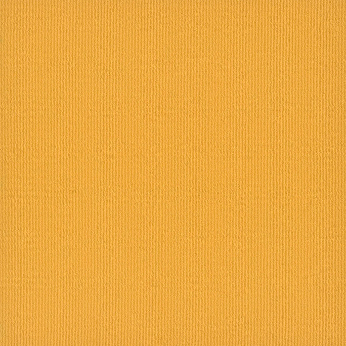 EF Contract - Colorburst - 24 in. x 24 in. - Commercial Carpet Tile - Medallion