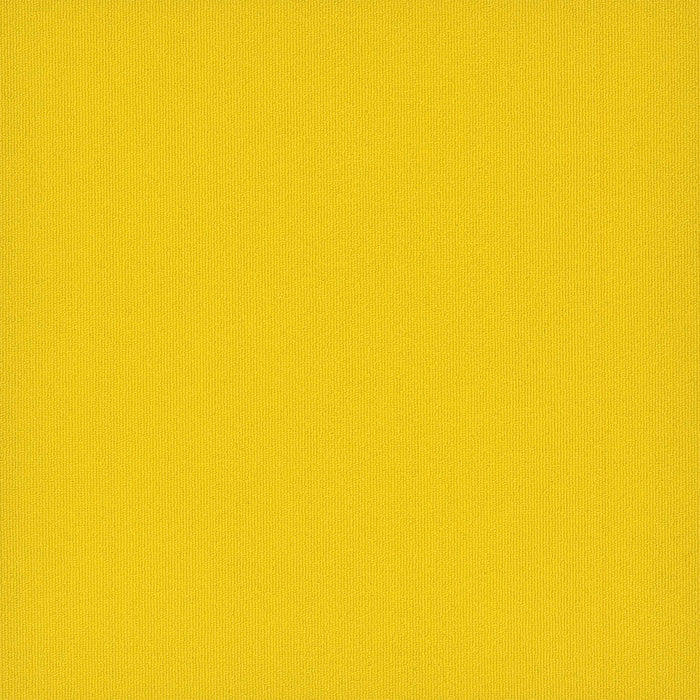 EF Contract - Colorburst - 24 in. x 24 in. - Commercial Carpet Tile - Cyber
