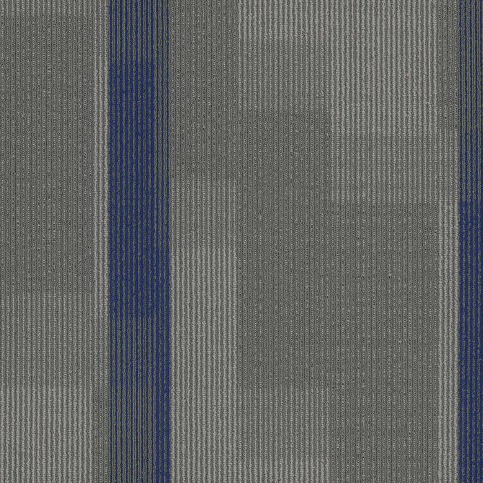 EF Contract - Amplify - 24 in. x 24 in. - Commercial Carpet Tile - Indigo