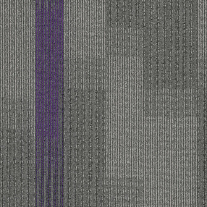 EF Contract - Amplify - 24 in. x 24 in. - Commercial Carpet Tile - Royal Purple