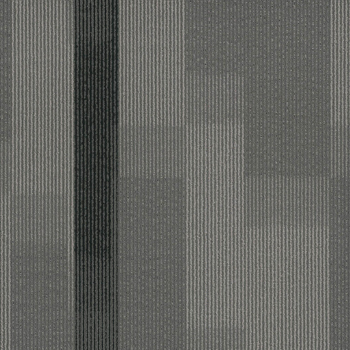 EF Contract - Amplify - 24 in. x 24 in. - Commercial Carpet Tile - Midnight