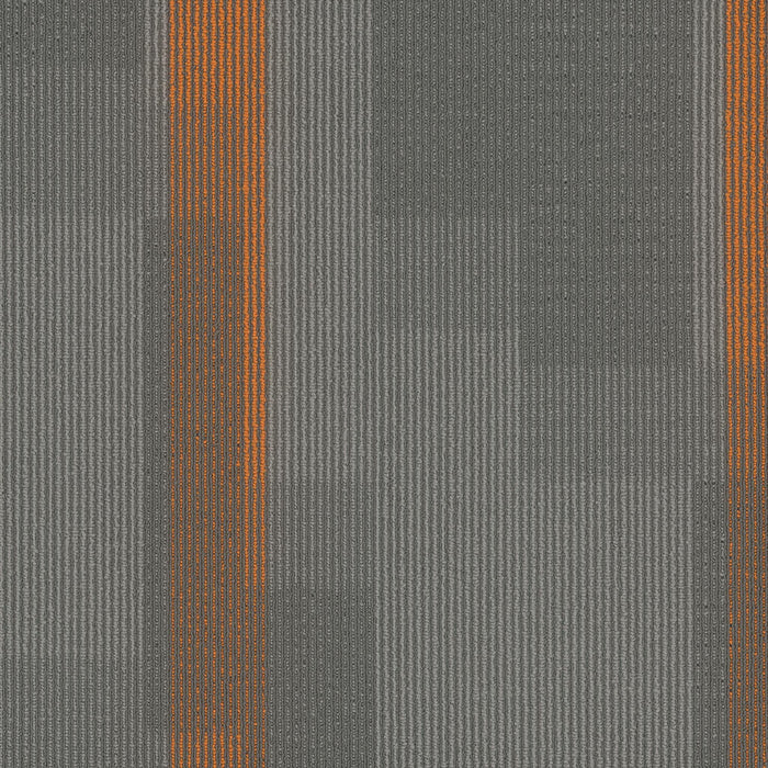 EF Contract - Amplify - 24 in. x 24 in. - Commercial Carpet Tile - Sunburst
