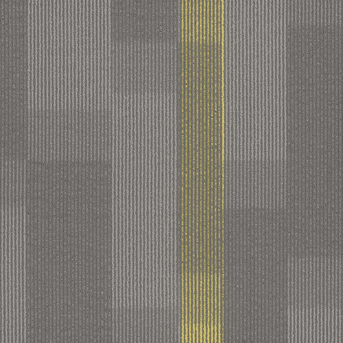 EF Contract - Amplify - 24 in. x 24 in. - Commercial Carpet Tile - Cyber