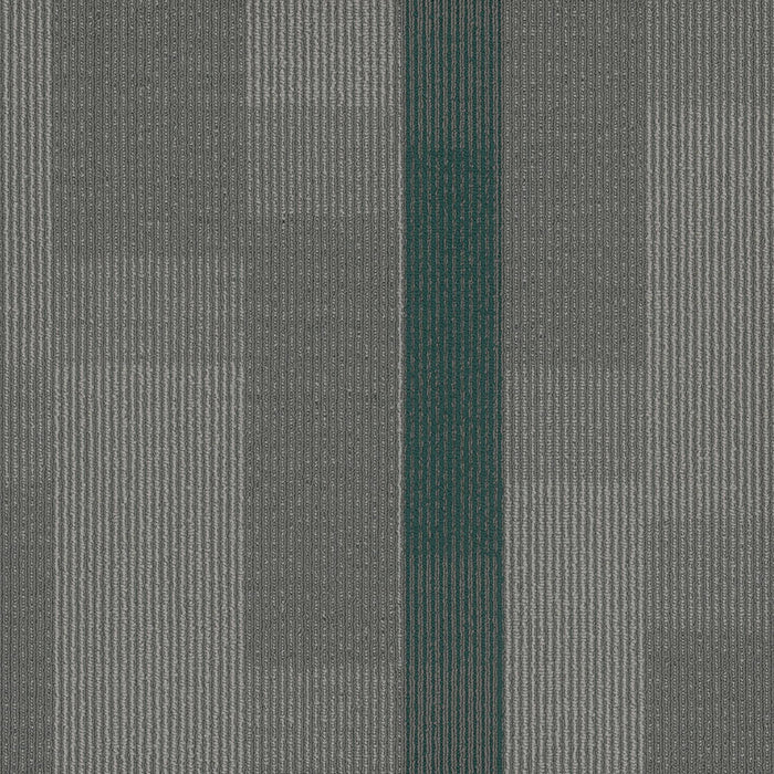 EF Contract - Amplify - 24 in. x 24 in. - Commercial Carpet Tile - Ocean Tropic
