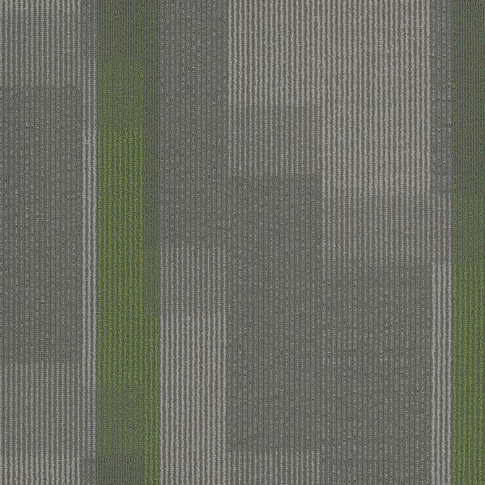 EF Contract - Amplify - 24 in. x 24 in. - Commercial Carpet Tile - Parrot