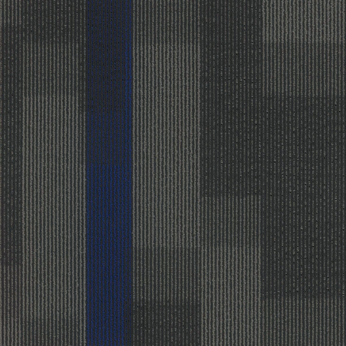 EF Contract - Magnify - 24 in. x 24 in. - Commercial Carpet Tile - Indigo