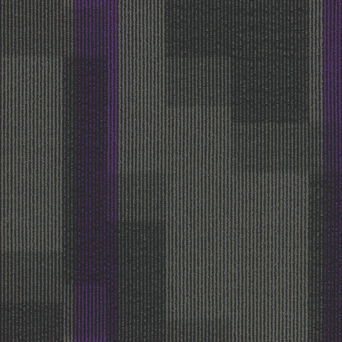 EF Contract - Magnify - 24 in. x 24 in. - Commercial Carpet Tile - Royal Purple 