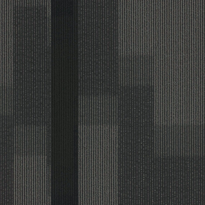 EF Contract - Magnify - 24 in. x 24 in. - Commercial Carpet Tile - Midnight