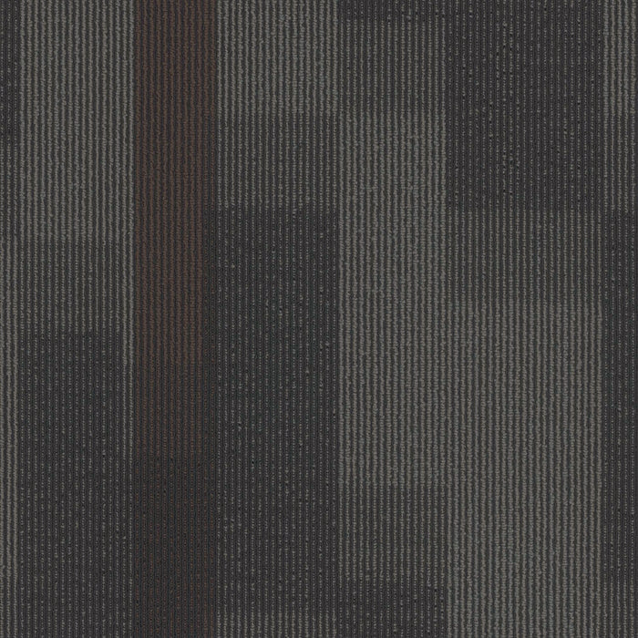 EF Contract - Magnify - 24 in. x 24 in. - Commercial Carpet Tile - Carob