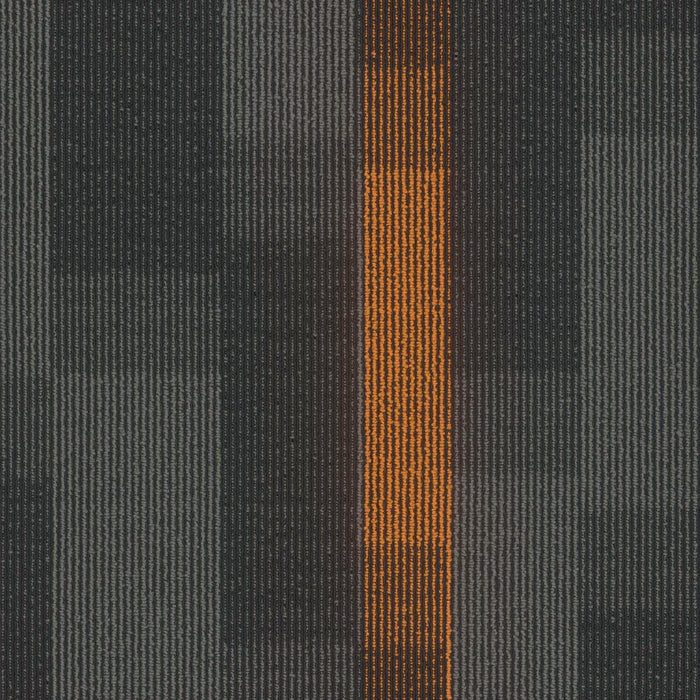 EF Contract - Magnify - 24 in. x 24 in. - Commercial Carpet Tile - Sunburst