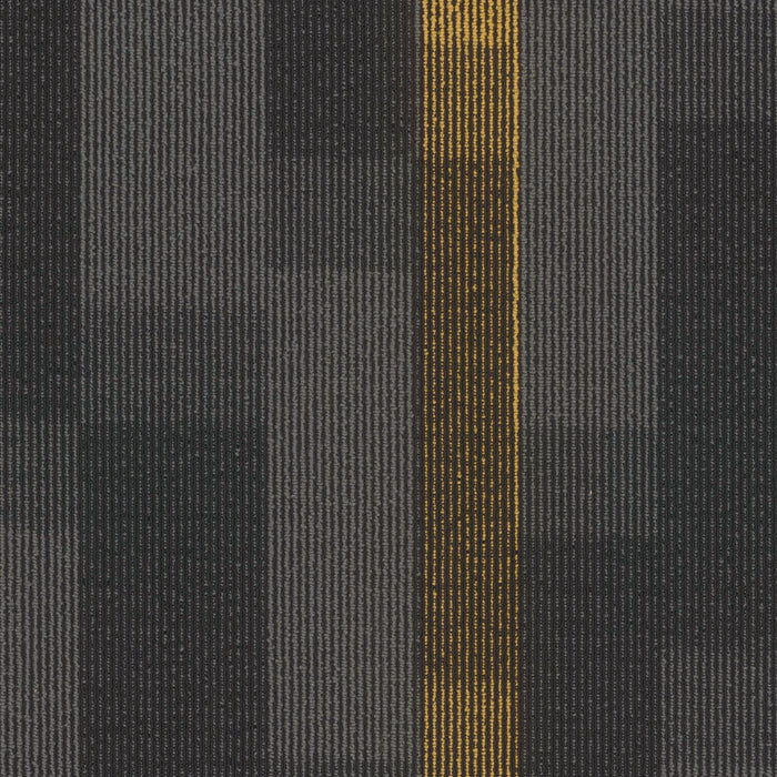 EF Contract - Magnify - 24 in. x 24 in. - Commercial Carpet Tile - Medallion