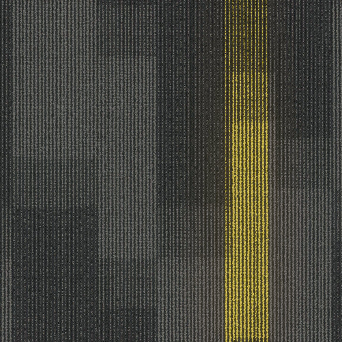 EF Contract - Magnify - 24 in. x 24 in. - Commercial Carpet Tile - Cyber