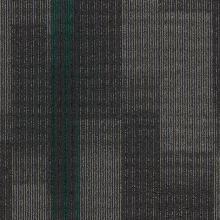EF Contract - Magnify - 24 in. x 24 in. - Commercial Carpet Tile - Ocean Tropic