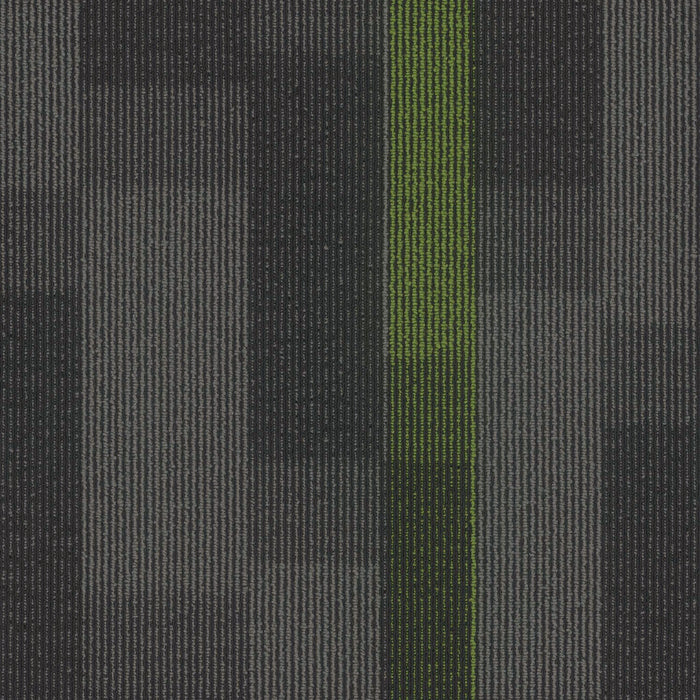 EF Contract - Magnify - 24 in. x 24 in. - Commercial Carpet Tile - Parrot