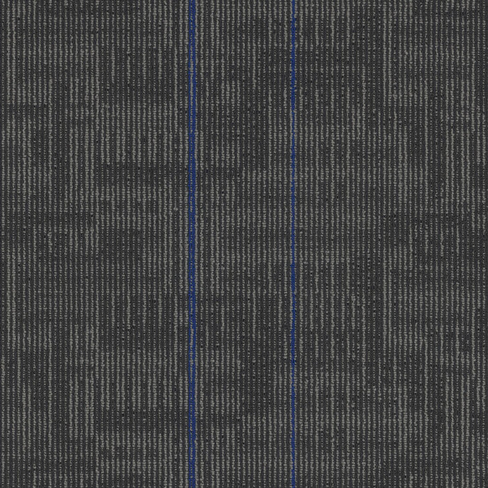 EF Contract - Echo - 24 in. x 24 in. - Commercial Carpet Tile - Indigo