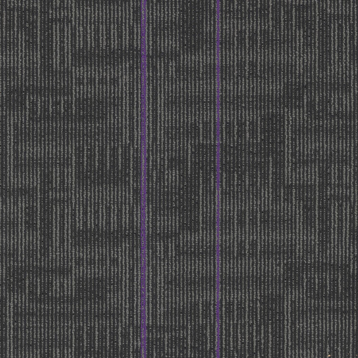 EF Contract - Echo - 24 in. x 24 in. - Commercial Carpet Tile - Royal Purple