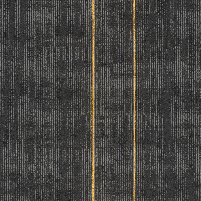 EF Contract - Echo - 24 in. x 24 in. - Commercial Carpet Tile - Medallion