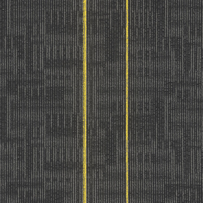 EF Contract - Echo - 24 in. x 24 in. - Commercial Carpet Tile - Cyber