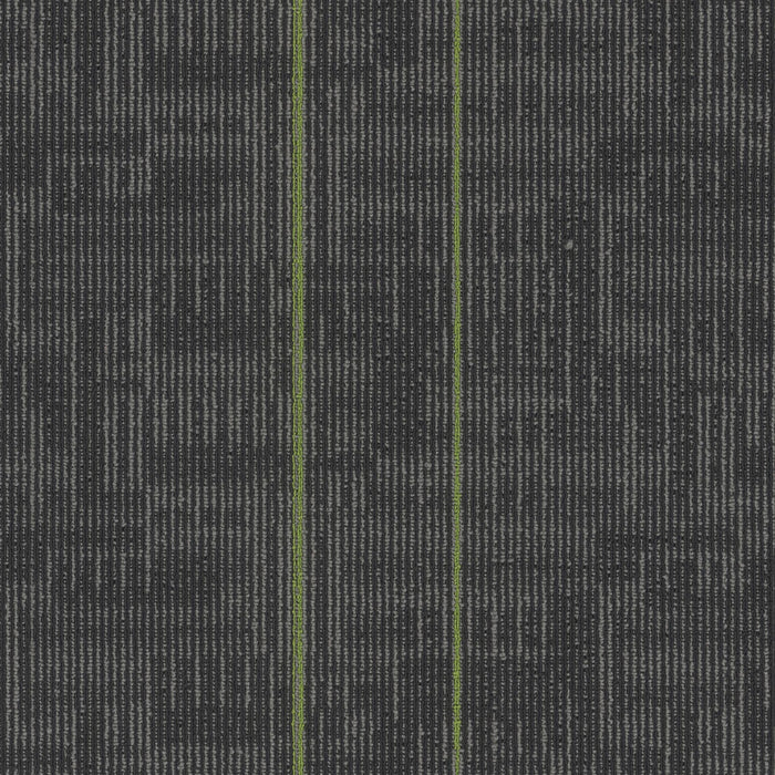 EF Contract - Echo - 24 in. x 24 in. - Commercial Carpet Tile - Parrot