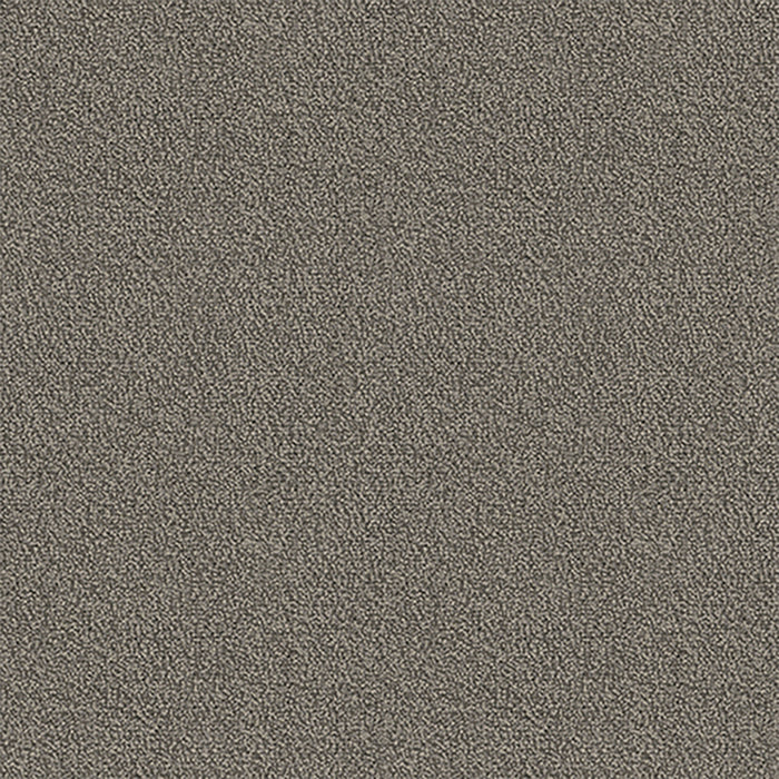 EF Contract - Chivalry - 24 in. x 24 in. - Commercial Carpet Tile - Nobel