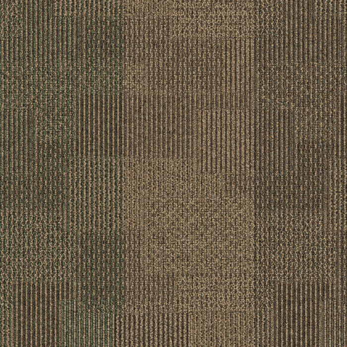 Mohawk - First One Up II BT443 - 24 in. x 24 in. - Commercial Carpet Tile - 848 Beginning