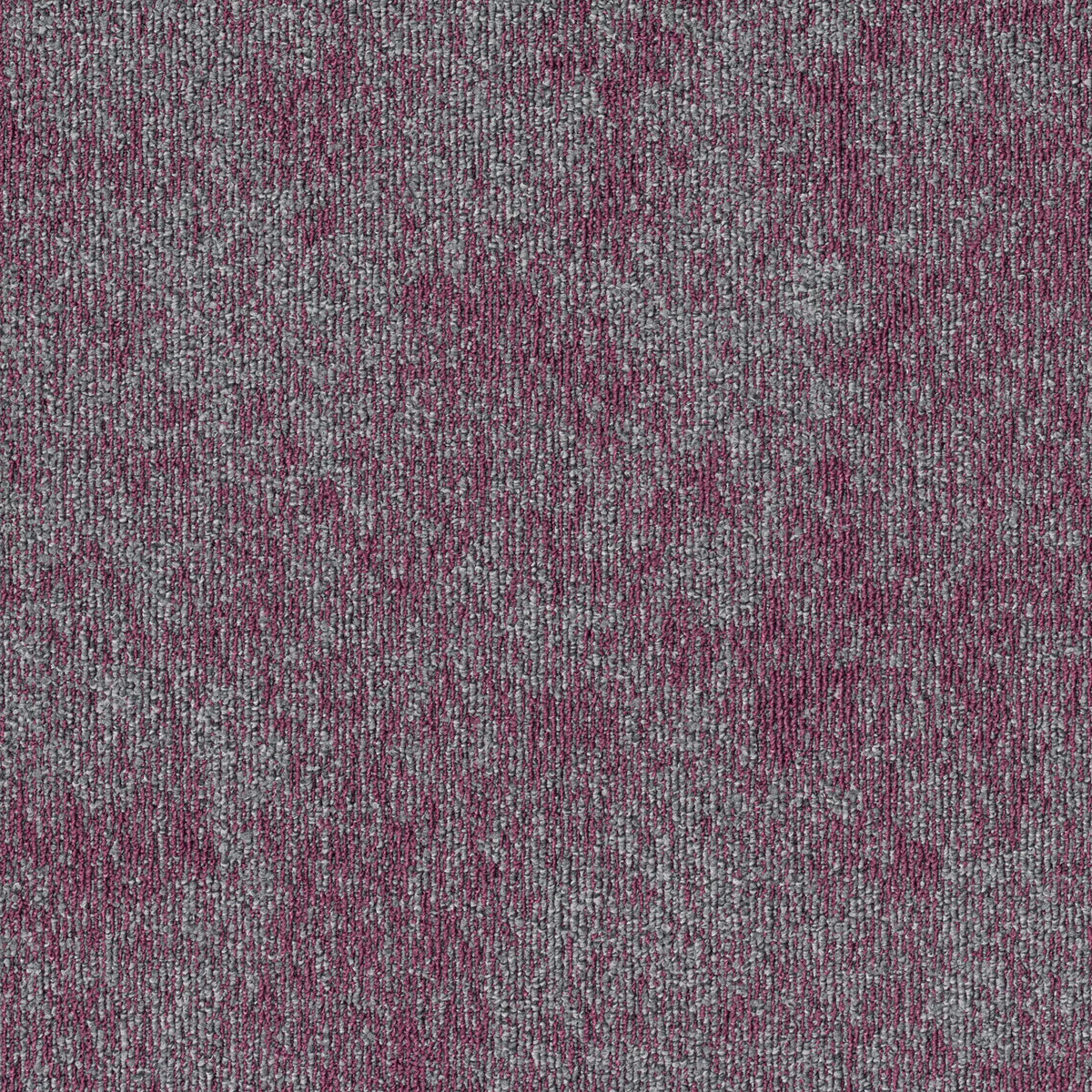 Mohawk - Shape Theory - Cartesian Plane - 24 in. x 24 in. - Commercial Carpet Tile - Pi Pink