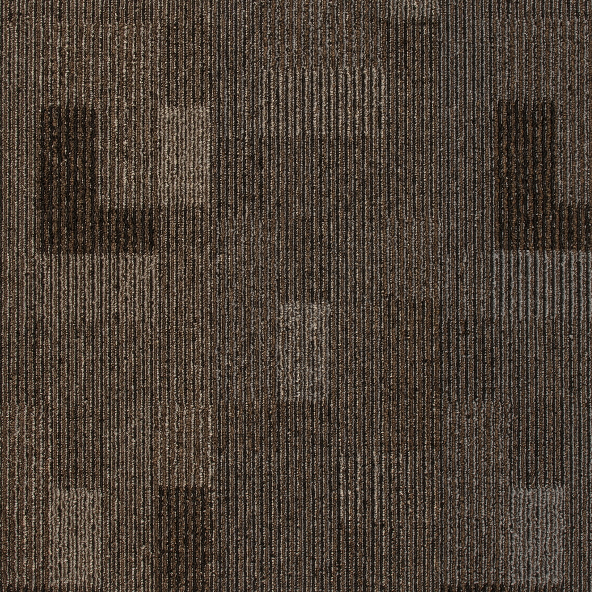 Mohawk Group - Renewed Path - Carpet Tile - French Roast