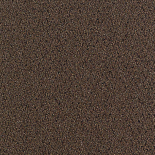 Aladdin Commercial - Walk Off - Walk Right Up - Carpet Tile - Walnut