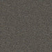 Mohawk - Faculty Renewal - 24 in. x 24 in. - Commercial Carpet Tile - Angels Landing